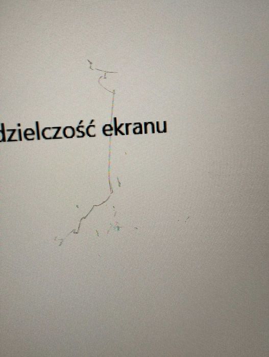 Monitor Eizo Foris FG2421PL czarny