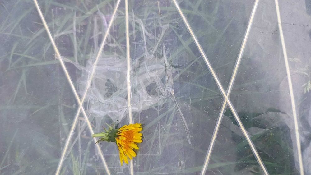 Żagiel Severne BLADE 4.5 – 2013 – super stan