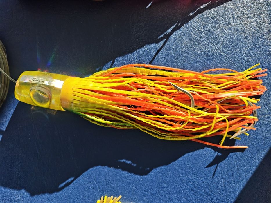 Amostras pesca curricar atum espadarte ....