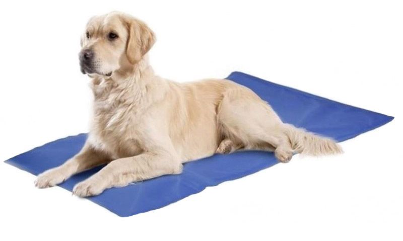 Żelowa Mata Chłodząca Dla Zwierząt 70X110 Cm Niebieska