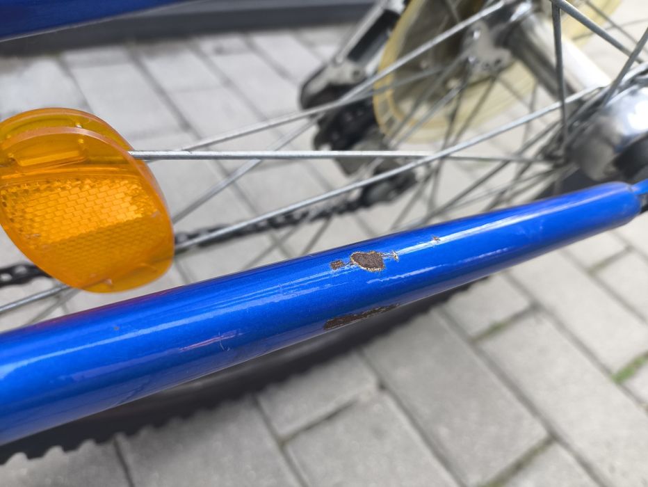 Rower author buffalo