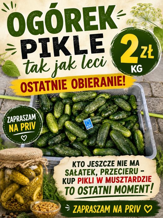 Ogórek gruntowy octopus PIKLE