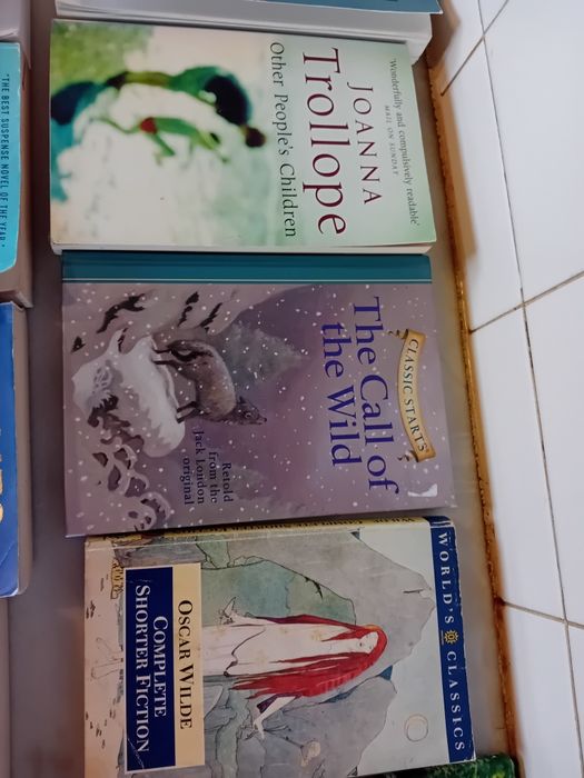 Conjunto de 12 Livros Diversos Língua Inglesa