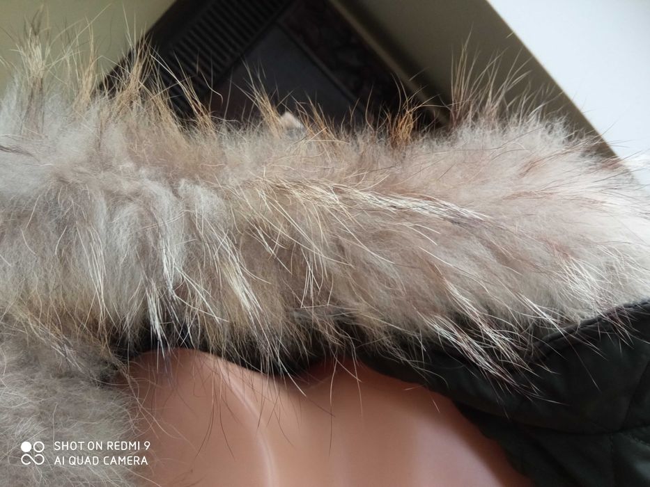 Obszycie kaptura 100%  lis naturalny jenot 68cm beżowy