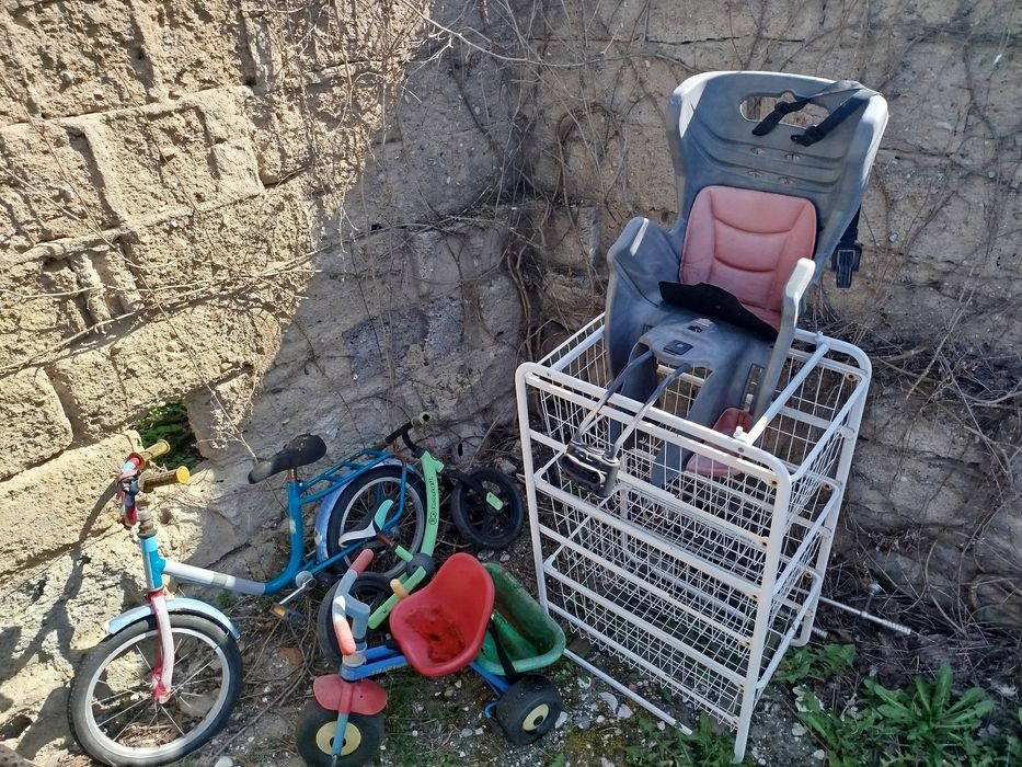 Oddam za darmo wszystko