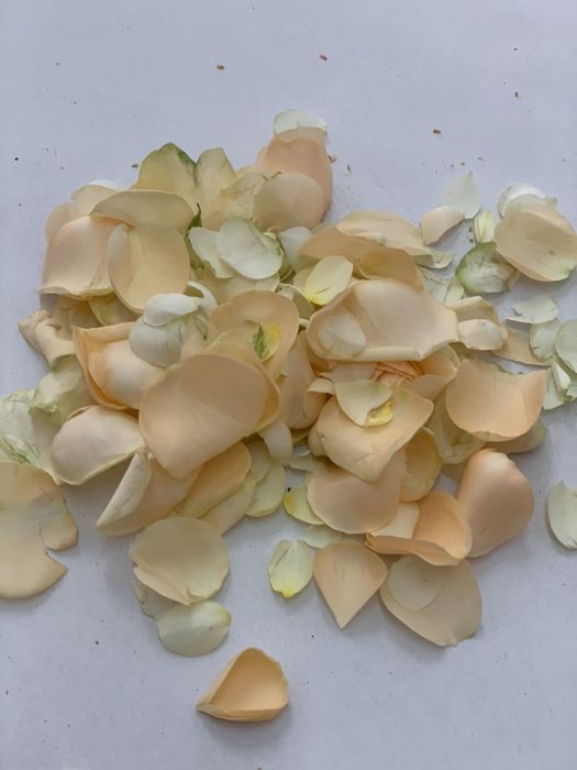 Пелюстки троянд (свіжої троянди)