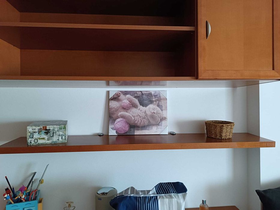 Cama e Móveis em Cerejeira