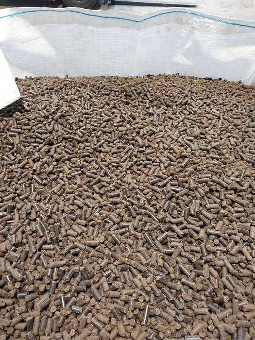 Obornik kurzy granulowany