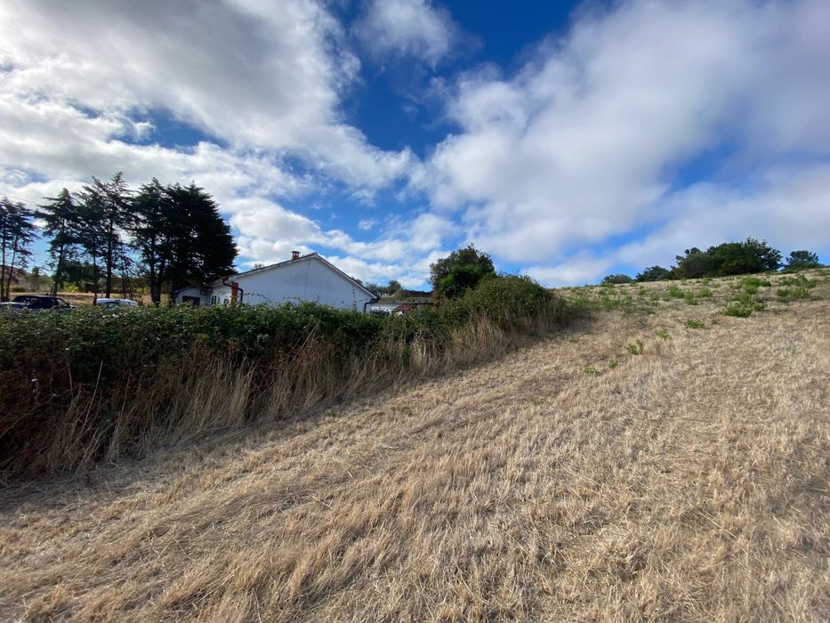 Limpeza de terrenos / Manutenção de jardins
