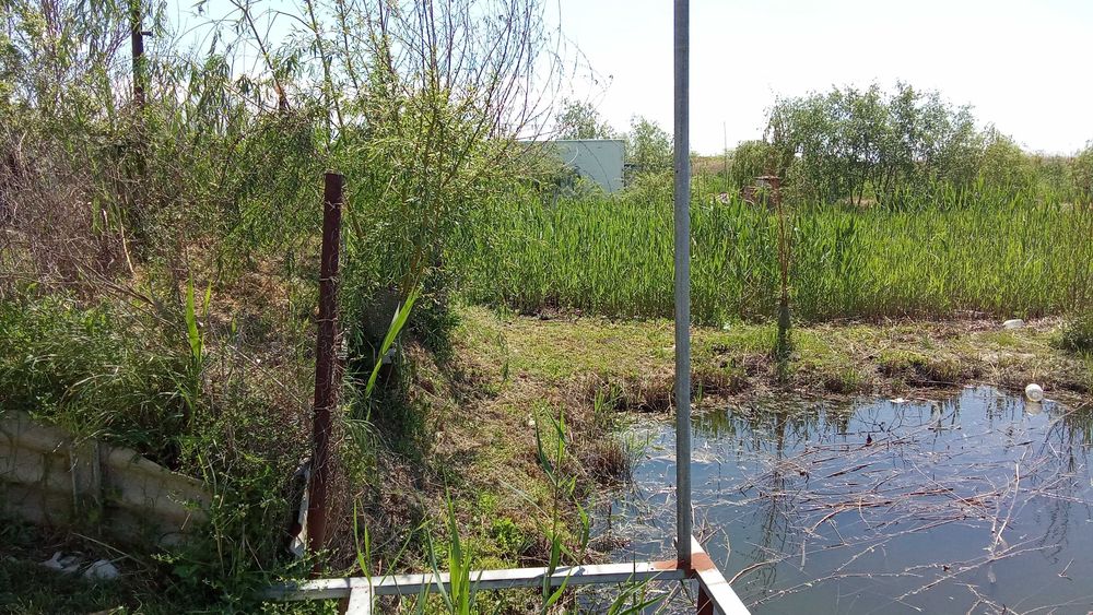 Продаж будинків Нерухомість Будинки