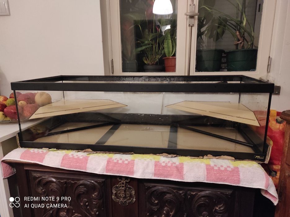 Aquaterrario Tartaruga Gigante (completo)