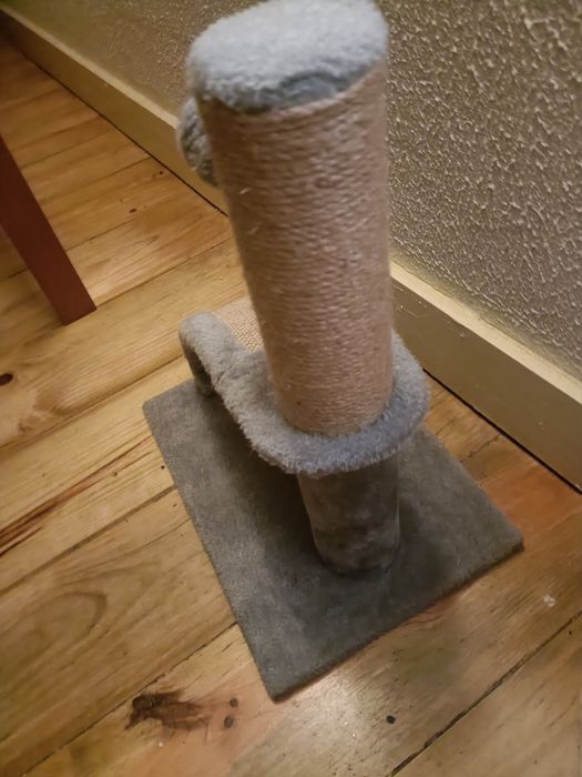 Brinquedo para gatos usado com guizo e pente