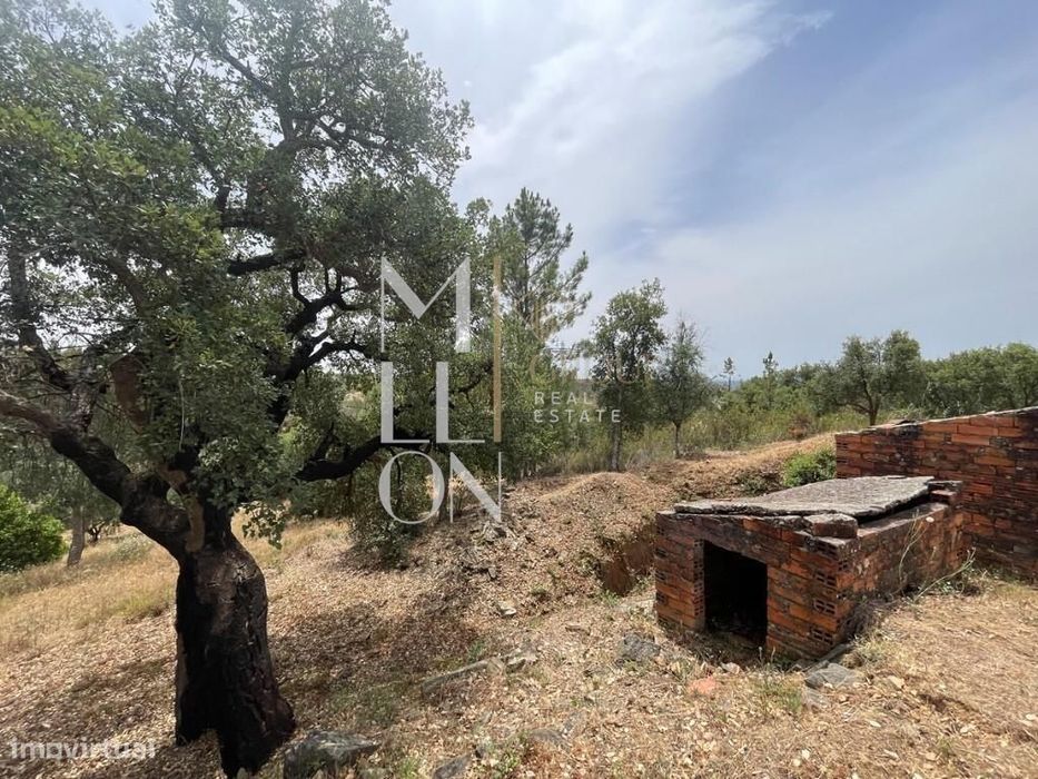 Oportunidade em Montes da Senhora, Proença-a-Nova: Moradia + vários