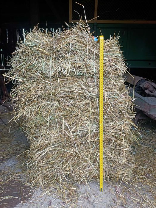 Siano w kostkach lipiec 2025r