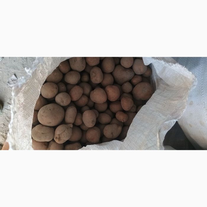 Продам дрібну картоплю