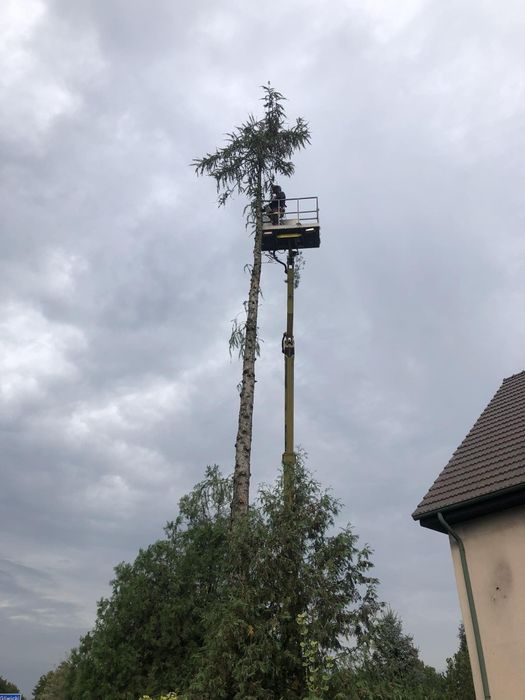 Podnośnik koszowy, zwyżka podnośniki 22 i 30 metrów, wynajem i usługi.