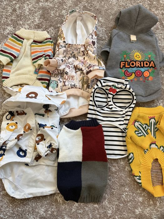 Пакет вещей на маленькую собачку или кошку,кофта ,худи ,майка дождевик