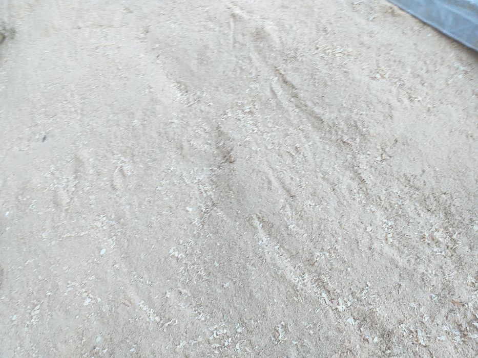 Осуществляем постоянную круглогодичную вывоз опилки, стружку, тырсы