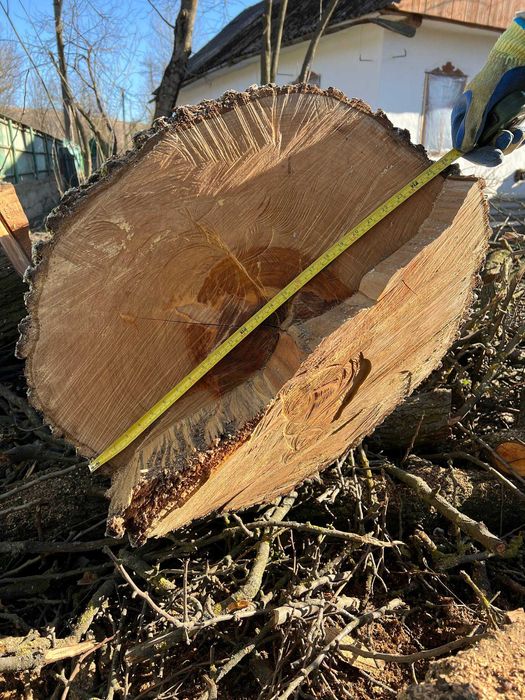 Стовбур груші великий, 4.5 м / 67 см