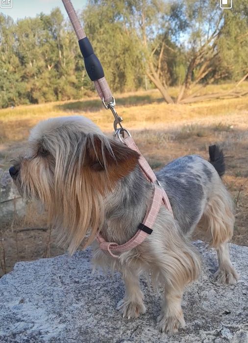 Йорк мрамор.Вязка