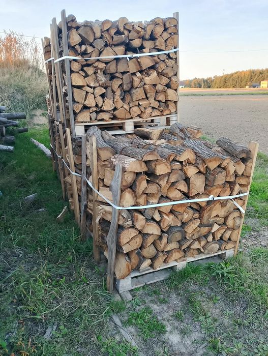 Dąb opałowy kominkowy