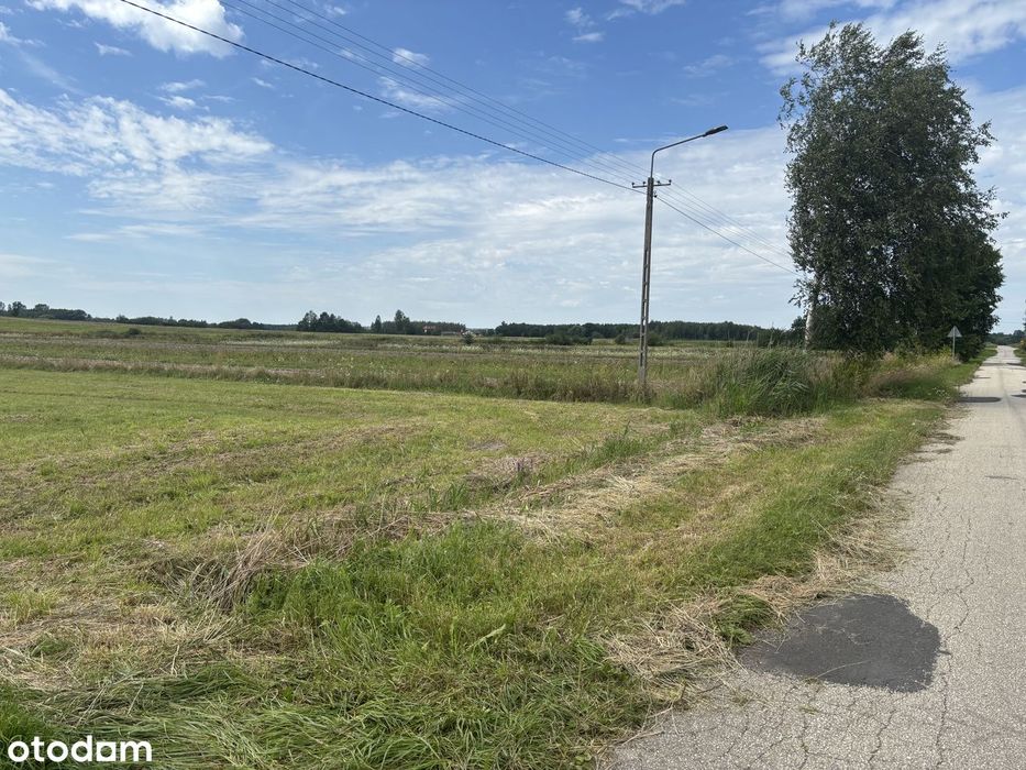 Dziesławice - działka budowlana o pow. 1,22 ha - Widok 4