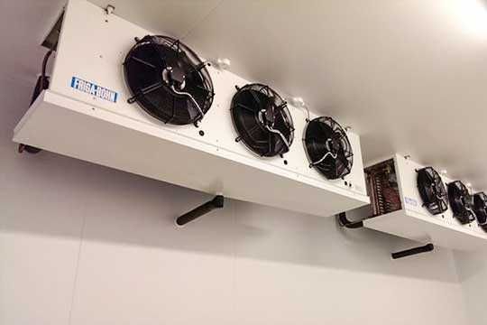 Шокова заморозка полуниці, чорниці, малини Луцьк, Шацьк, Нововолинськ