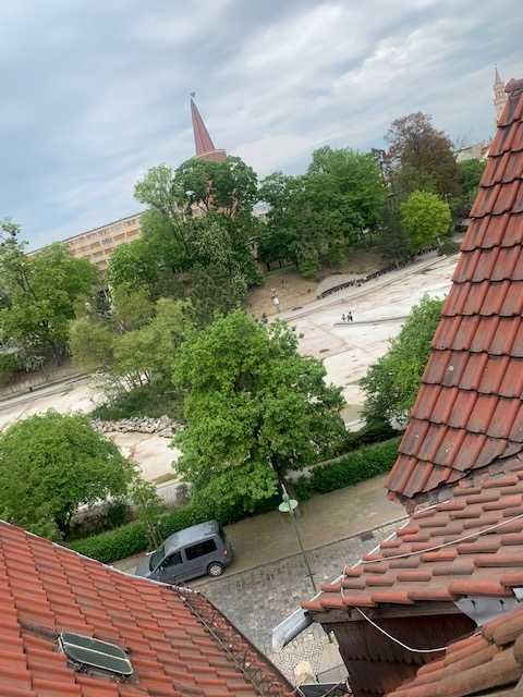 Zdjęcie 8