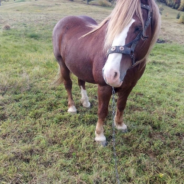 Змінить проживання