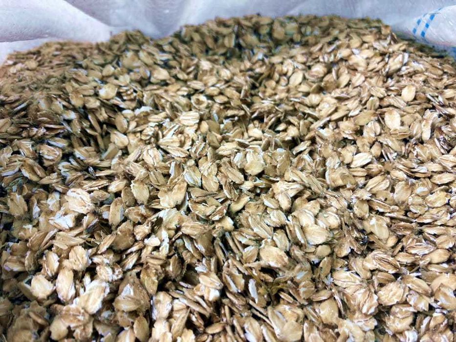 Płatki Owsiane Pradawne Pyszne od Boryny 5 KG BIO