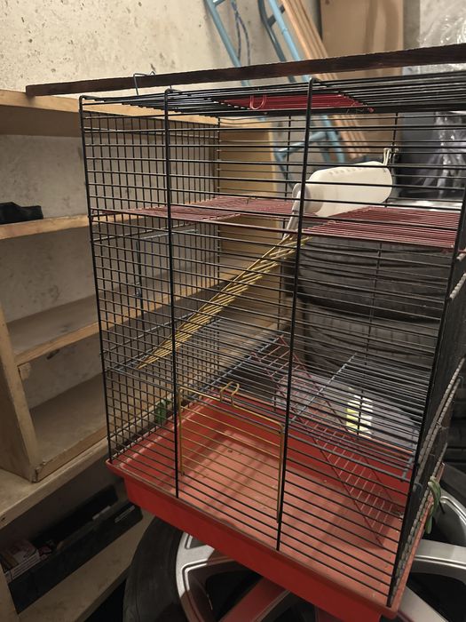 Klatka dla zwierzatka