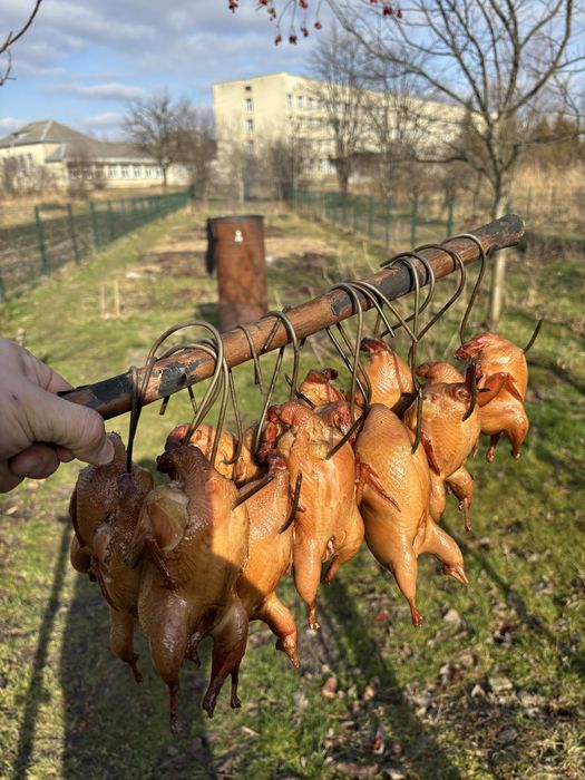 Копчена перепілка, та копчені яйця