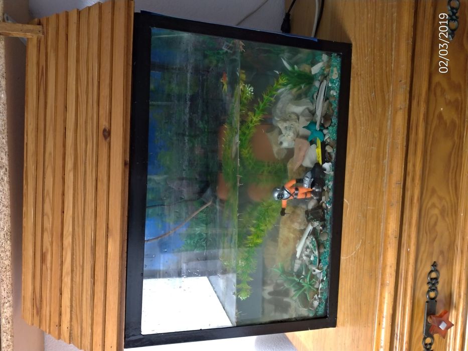 Aquário para peixes