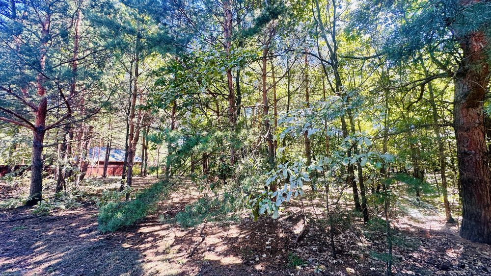 Продам земельну ділянку! Пилиповичі