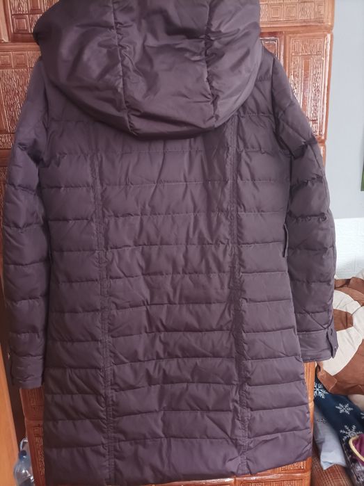 Płaszczyk jesienny  Xl śliwkowy