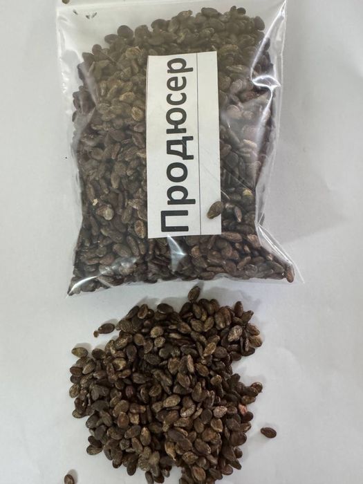 Насіння кавуна ПРОДЮСЕР