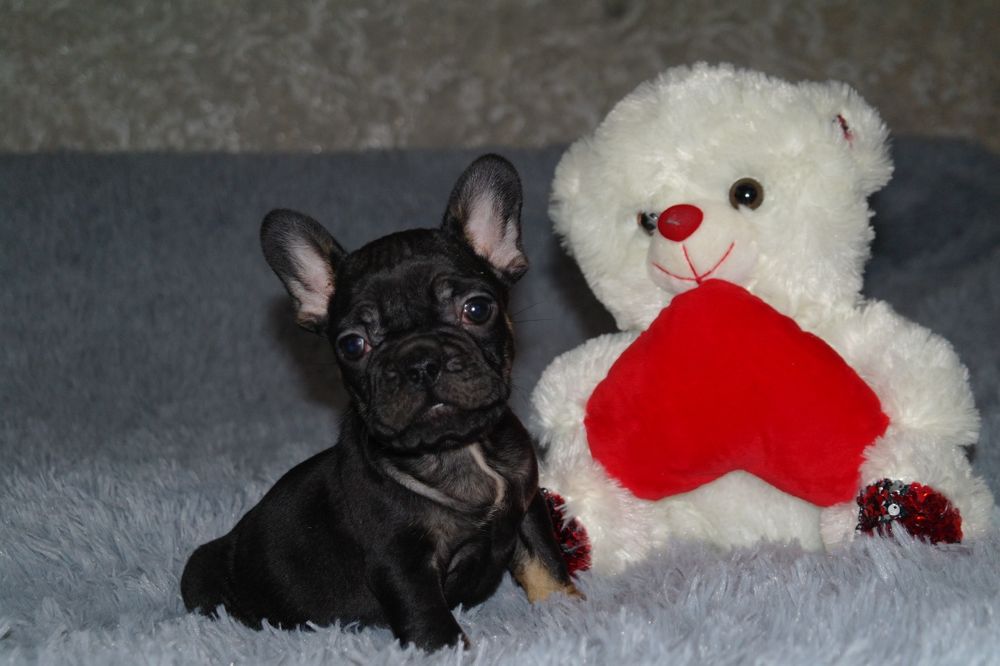 Балибейчик ждёт Вас