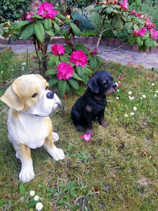 Figurki ogrodowe Psy Bokser i Rottweiler z haczykami – solidne 30 i 40cm