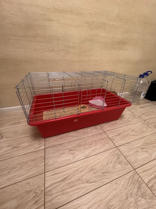 Продамо кролика *Висло Вухий Британець*