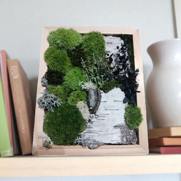 Żywy obraz z mchu i kory. 100% naturalny