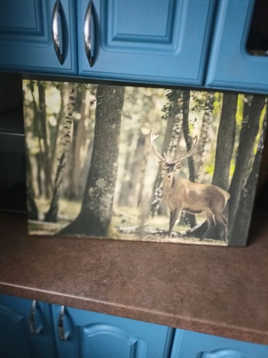 Obraz na płótnie widok