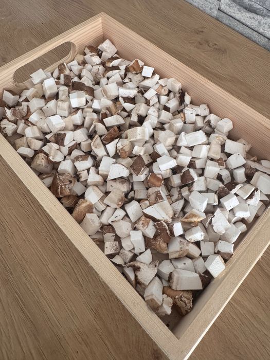 Białoporek Brzozowy 100 g