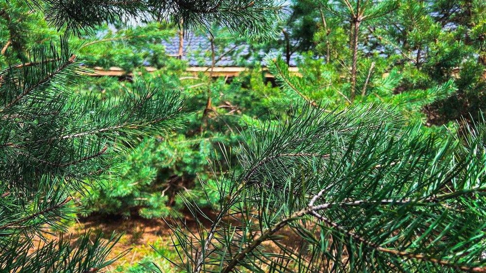 ТОП-продаж. КМ Сhaletvillе. Дім в оточені лісу. єОселя. Без%