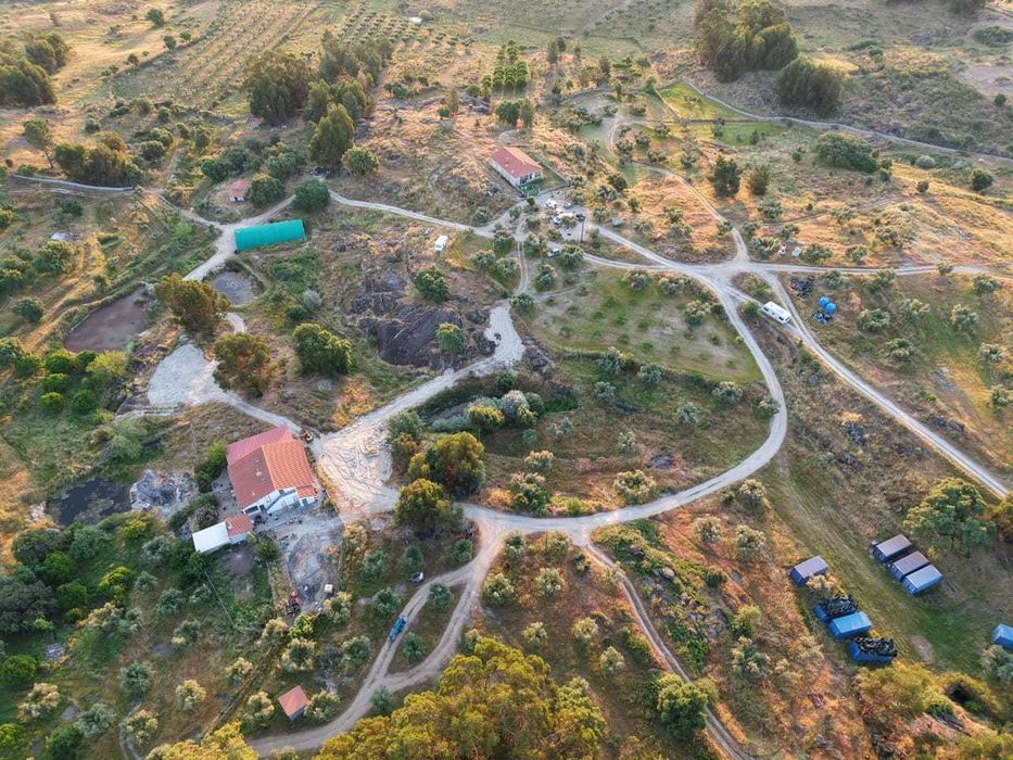 Olival biologica