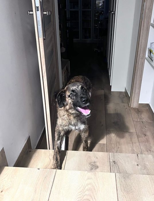 Neptunek szuka swojej chaty