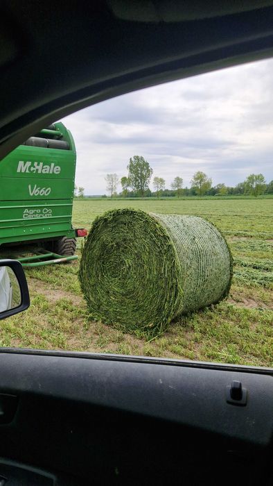 Sianokiszonka Lucerna Bele