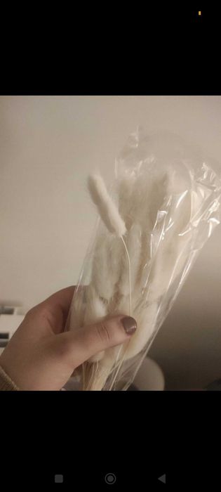 Flores secas  brancas ideais para convites