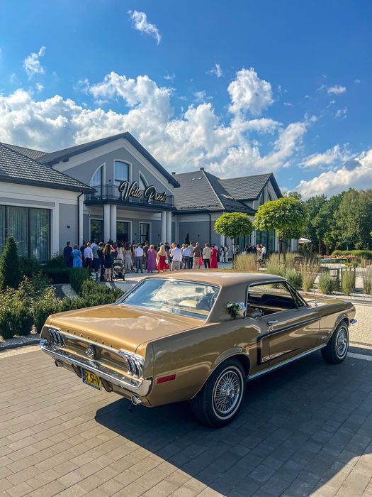 Mustangiem do Ślubu, samochód do ślubu Mustang