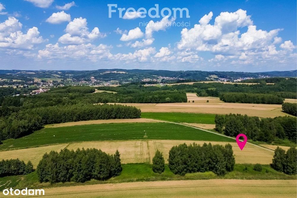 Działka z Wz siedliskowa 46 ar – Strzyżów okolice