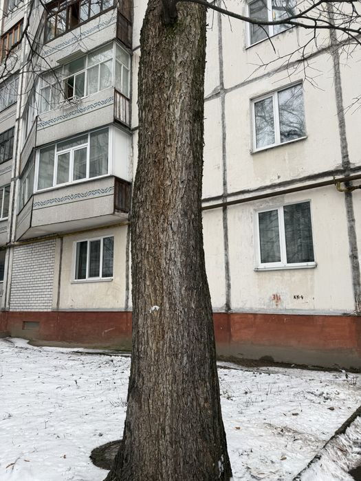 Здам в оренду однокімнатну квартиру район ринок Нива